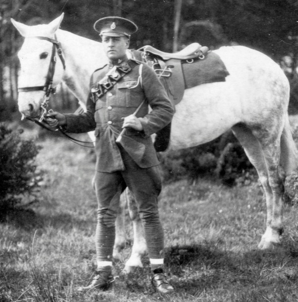 In what language does 'busty' mean big or tall?