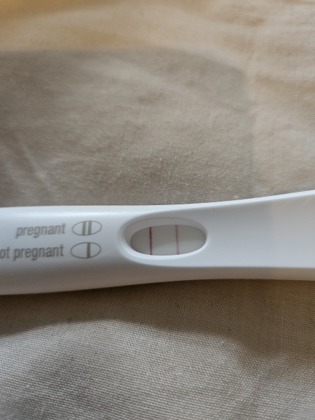 Due February 2024!