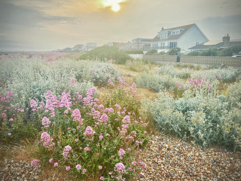 Relocating to East Sussex - advice needed pls