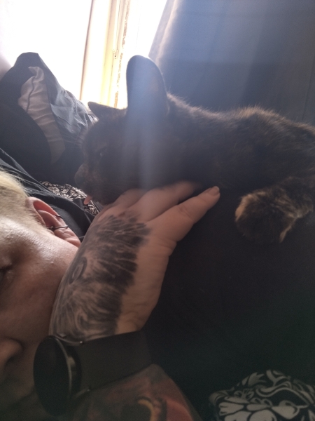 Cats used to be worshiped as Gods...