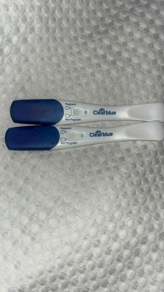 Pregnancy Test 