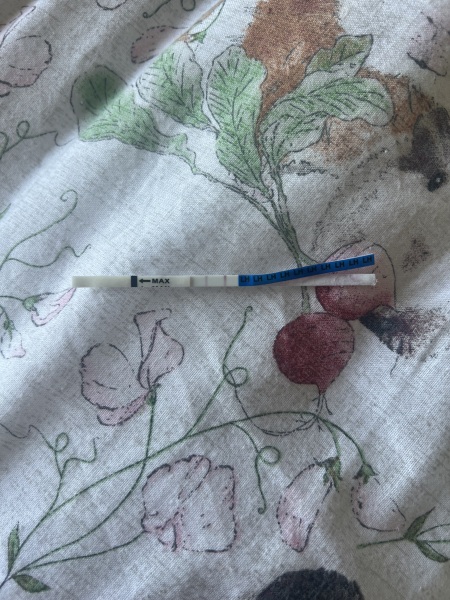 anyone using poundland opks? 
