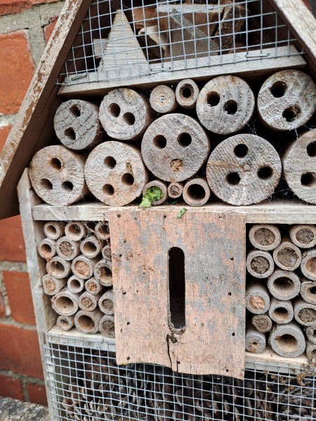 What have you done in the garden today? Part 2