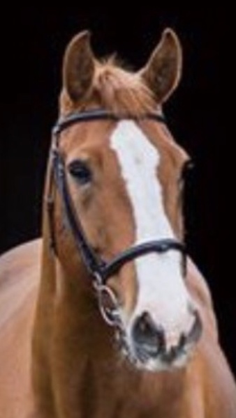 No wedding reception? 