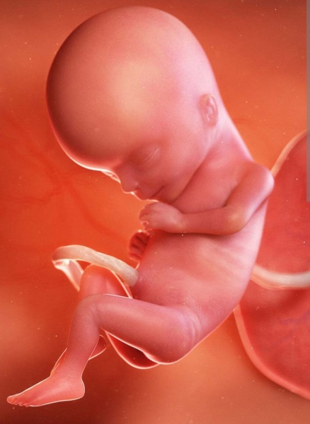 Waste of a name?! *(TW - miscarriage)