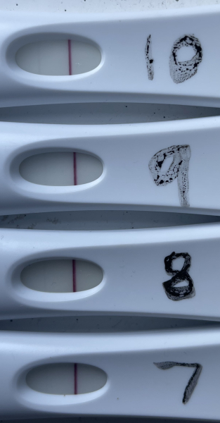 TTC May 2023 💖✨ previous MC March 2023