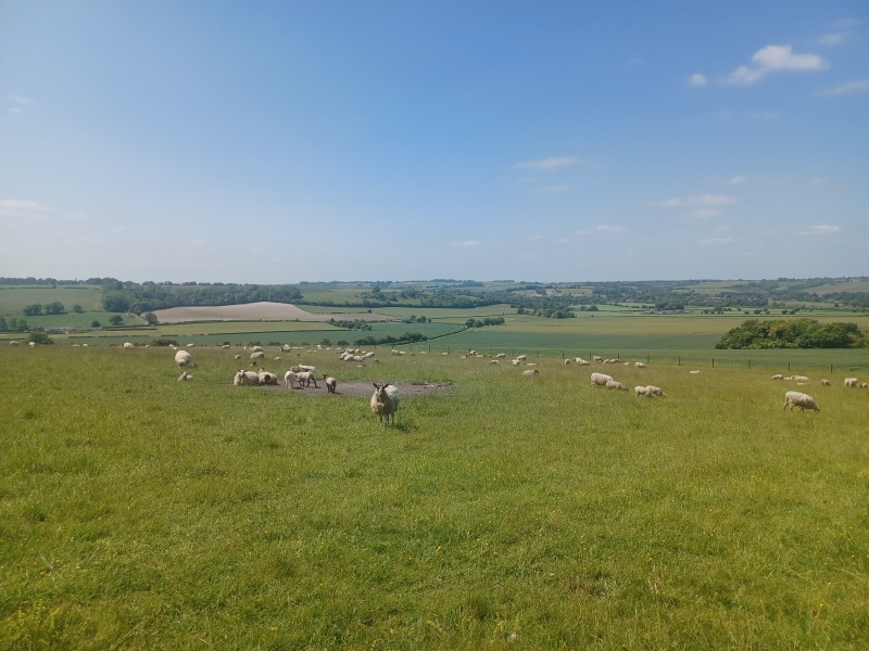 Come chat hiking with me!