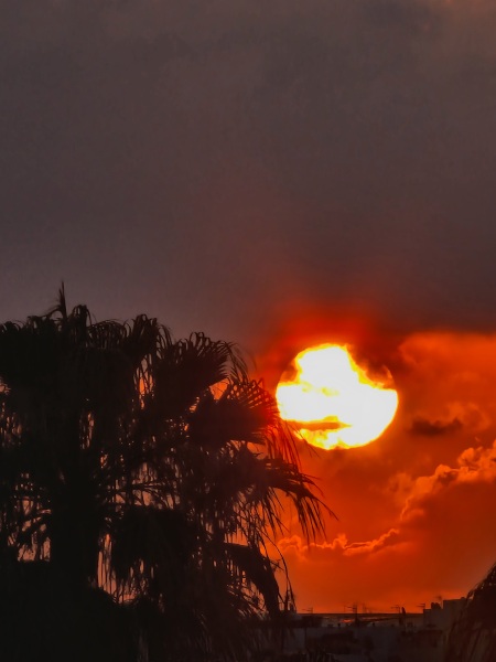 The support thread (continued) for an alcohol free life. All welcome. 