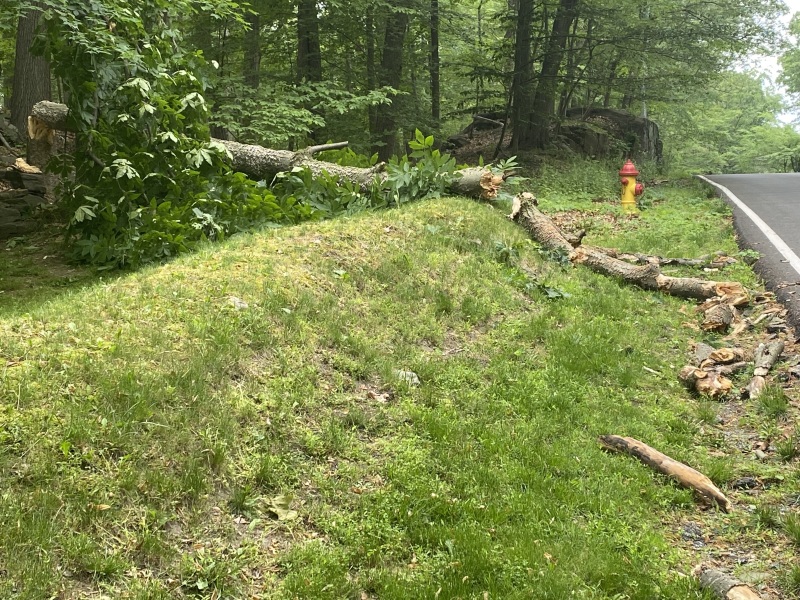 Come and tell me your dull and unexciting news 25: Calmly through the day 