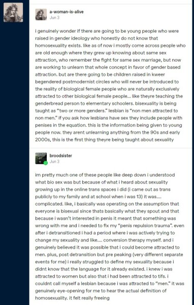"Lesbians being anti-trans is a lesbophobic trope"