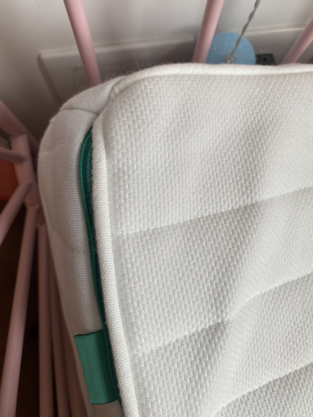 What sort of bites are these?