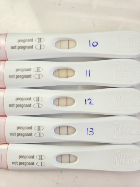TTC February 2024 babies