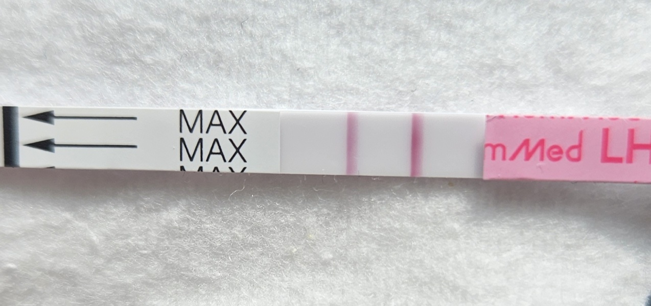 TTC May 2023 💖✨ previous MC March 2023