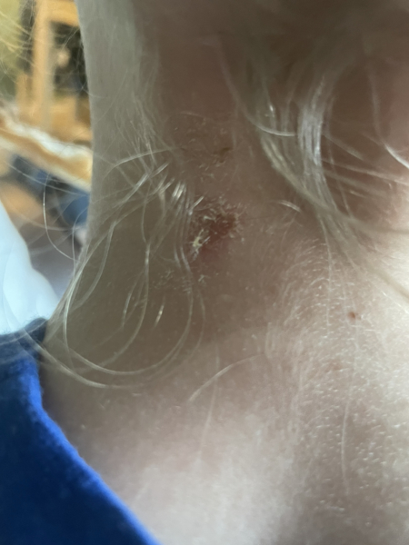 Can anyone help with what this is?