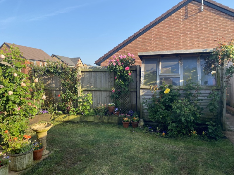 Thread 7 - TalkLair: “In fact it’s an oblate spheroid”