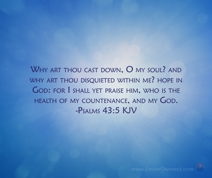 Pancreatic and liver cancer