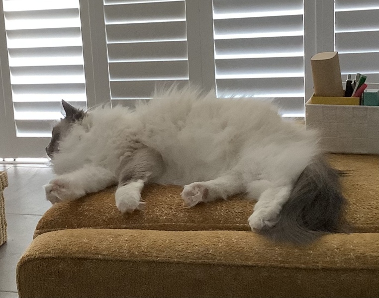 What options against excessive heat in south-facing kitchen? Awnings window films blinds...