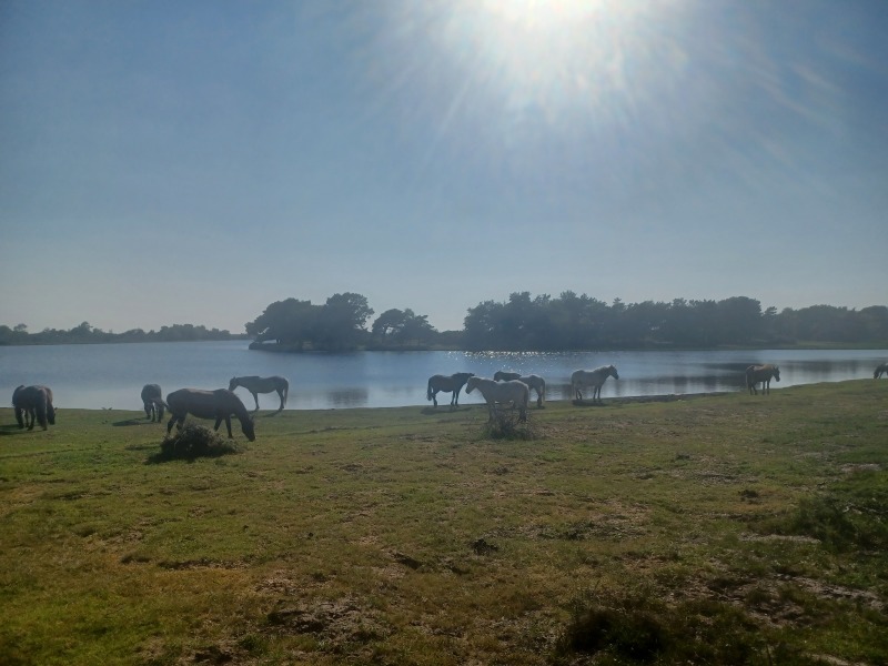 Come chat hiking with me!