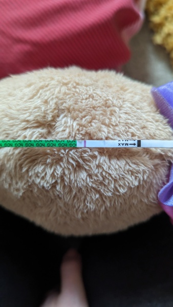 First response faint positive - clear blue digi 'not pregnant' CONFUSED!!