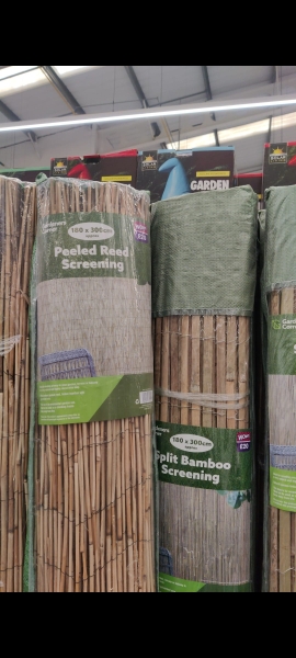 Pools and neighbourhood kids