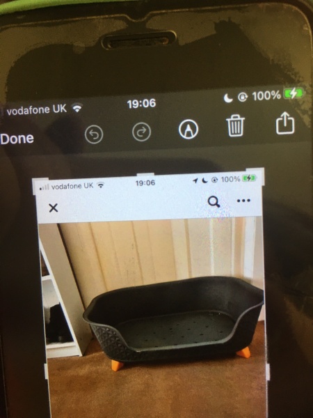 Dog bed