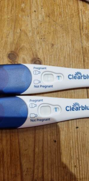 Clear blue test. Evap line or positive