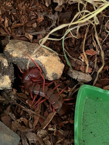 Boots refusing to sell canesten to men! Wtf!