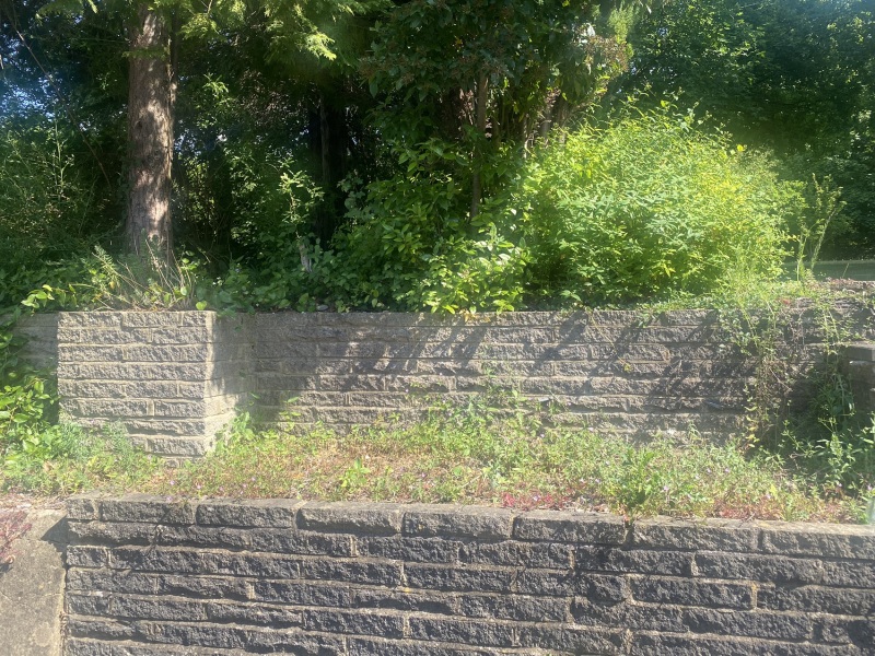 Non gardener, is there anything I can do to this patch?