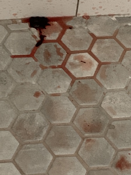 Period **MNHQ adding graphic content warning**