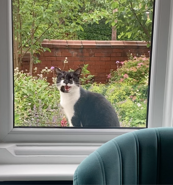 Thread 8 - TalkLair: “Brewing Russell's teapot” 