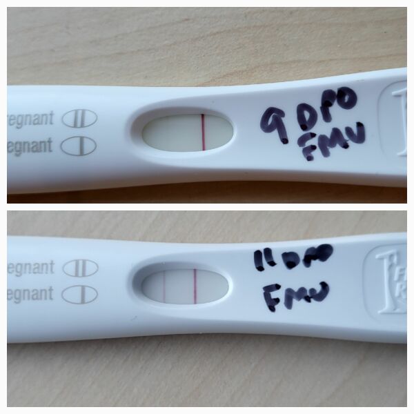 TTC May 2023 💖✨ previous MC March 2023