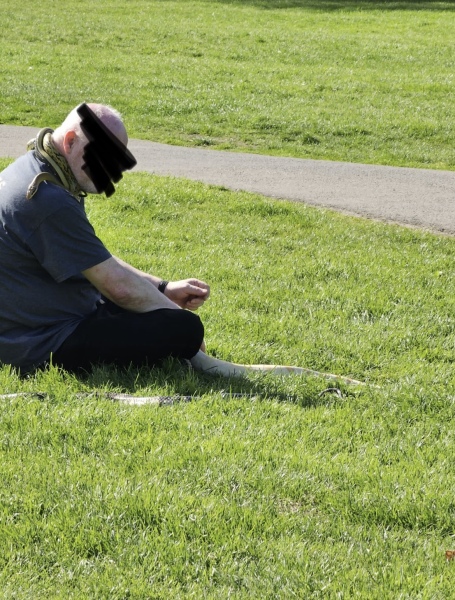 to take my snake to sunbathe in the local park?