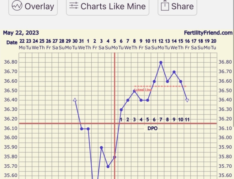 BBT Graph