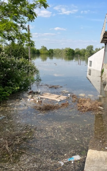 Ukraine Invasion: Part 41