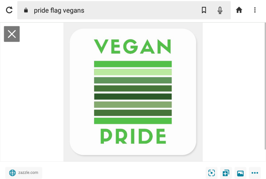 LGBTQ etc revised flag.