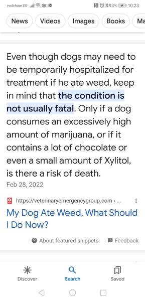 DDog ate marijuana in the park