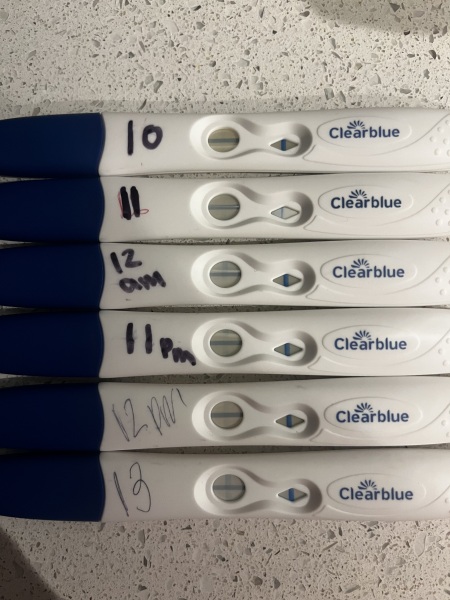 8DPO, BFP or EVAP?