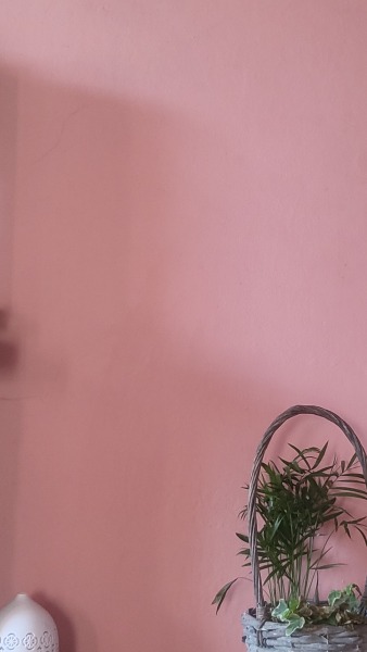 What colour is your front room