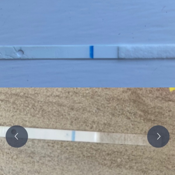 So I cracked open 2 clear blue digitals…