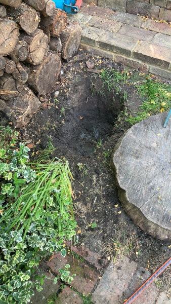 Tips to deter foxes from the cat's grave.