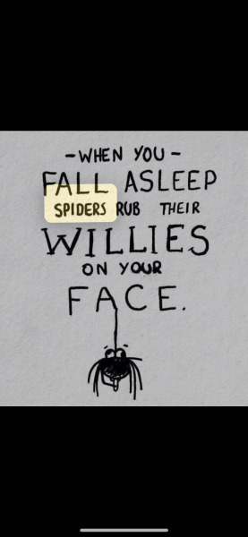 Spider willies