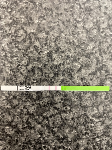 Ovulation?