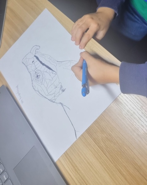 To ask what age you think drew this picture?