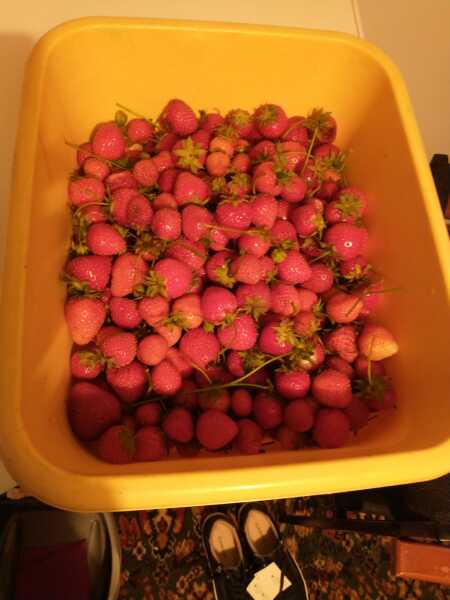 Advancing into April - Frugal Friends still being, er, Frugal.