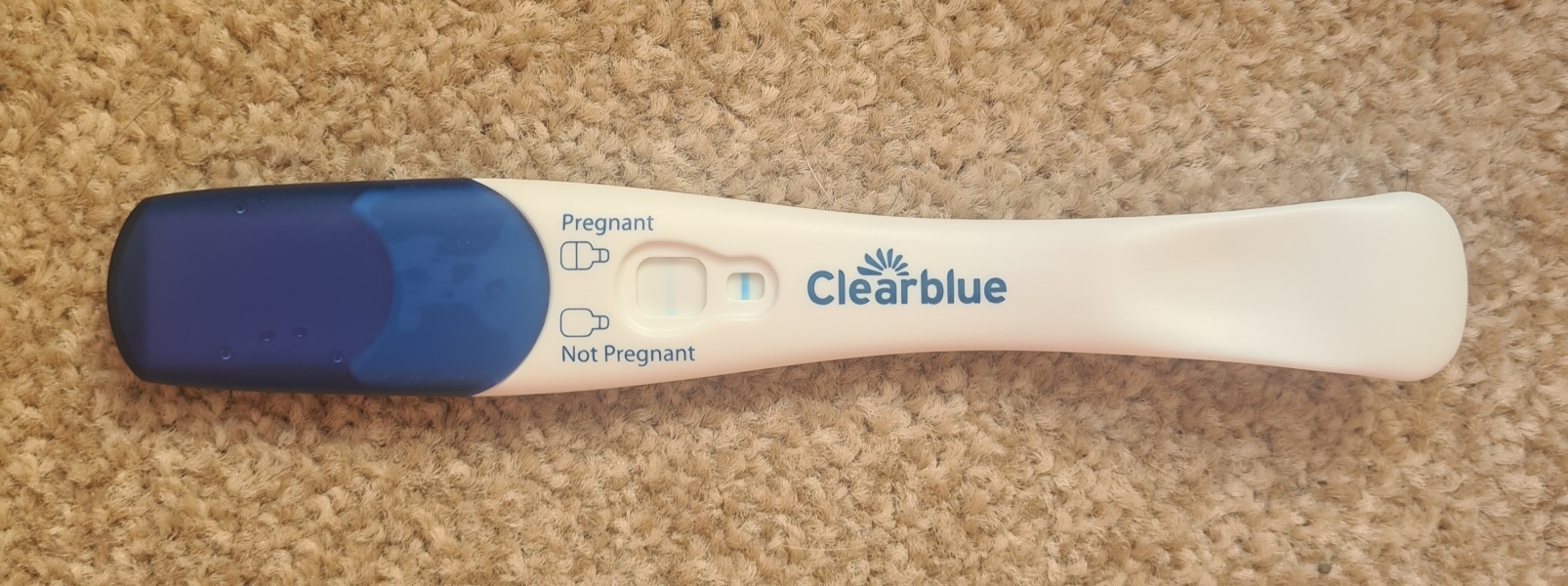Conception