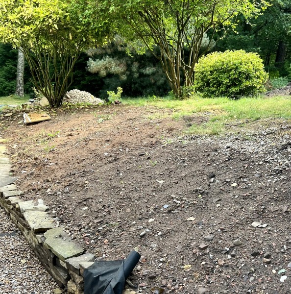 Are rockeries old fashioned