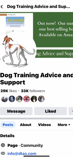 Anyone here good with dog psychology and could help understand this situation?