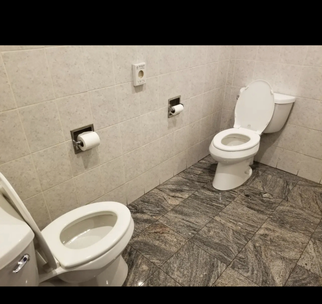 2 toilets in a bathroom - is this a thing? 