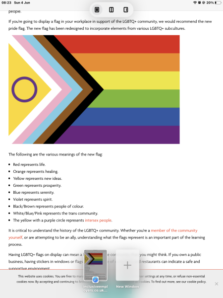 LGBTQ etc revised flag.