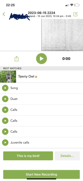 To tell you about the Merlin app - Shazam for birds?